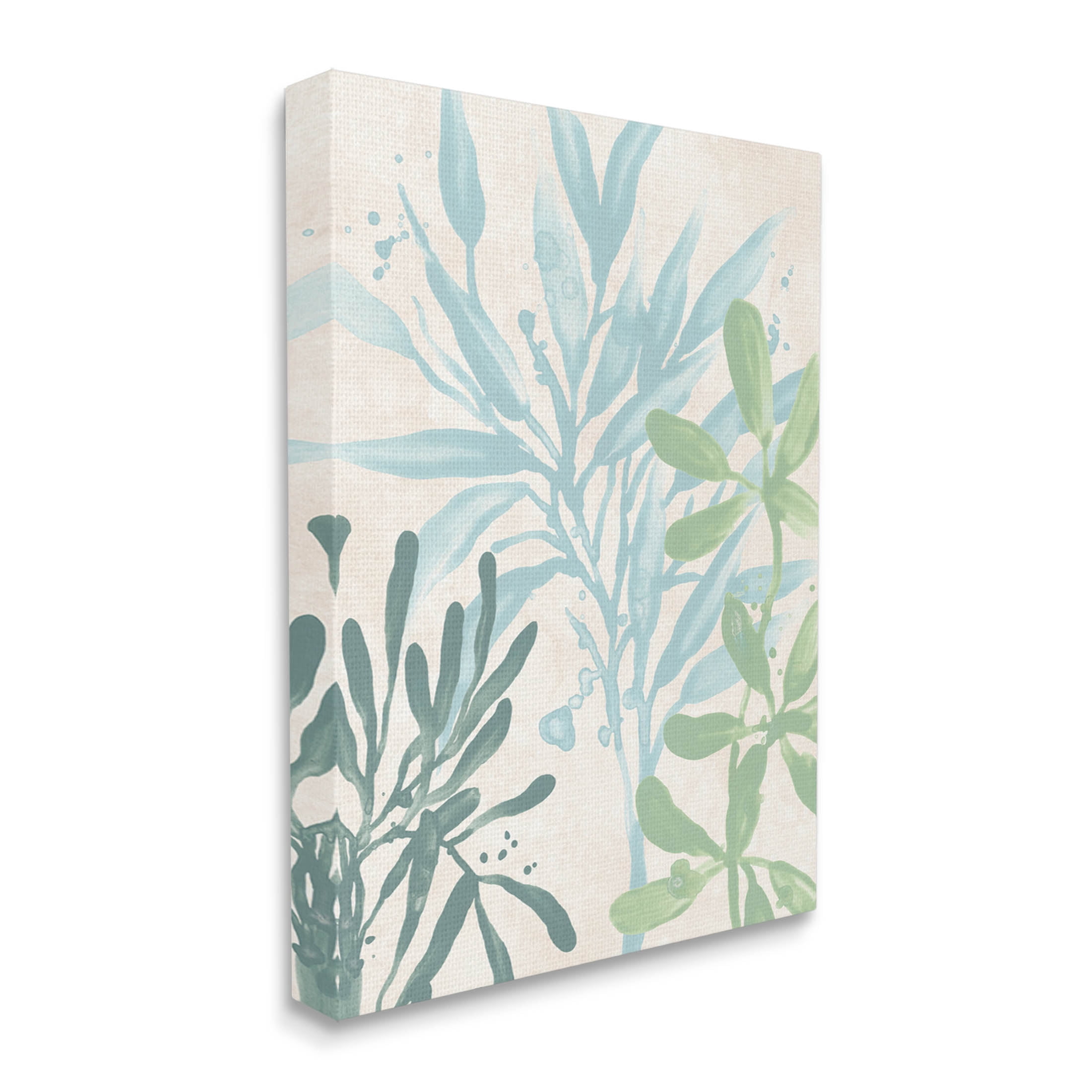 Stupell Industries Marine Seaweed Plant Leaves Graphic Art Gallery Wrapped Canvas Print Wall Art, Design by June Erica Vess