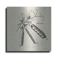 thumbnail image 1 of Luxe Metal Art 'Burlap Vegetable BW Sketch Peas' by Studio Mousseau, Metal Wall Art, 36"x36", 1 of 7