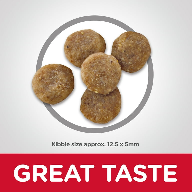 Hills grain free cat food outlet