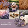 thumbnail image 3 of Recarga de fragancia Yankee Candle ScentPlug Lavanda y roble secados, 3 of 7