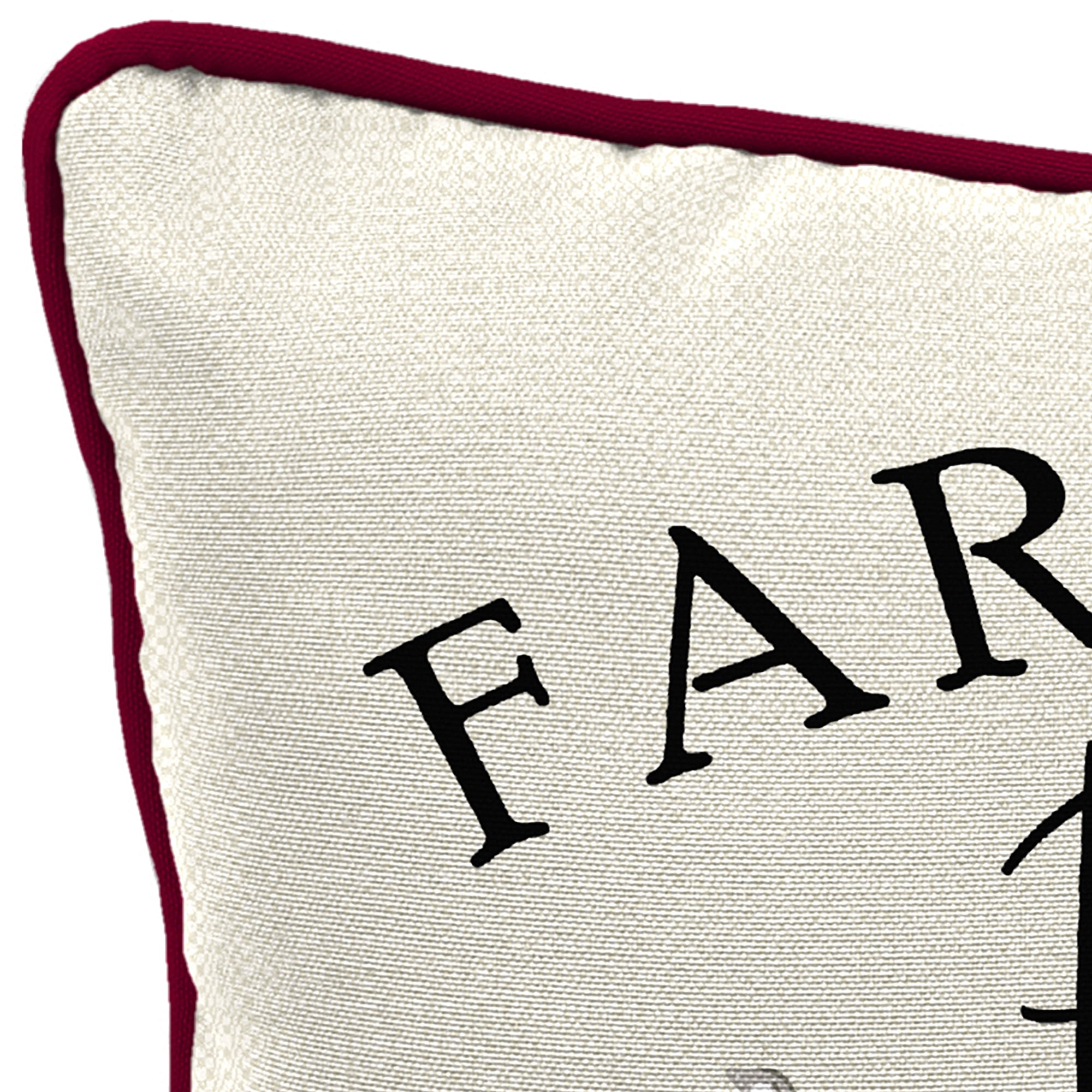 Mainstays Farm Fresh Pumpkin Truck Reversible Outdoor Throw Pillow, 16", Cream Novelty and Merlot Solid