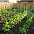 thumbnail image 3 of Bibana 25PCS 48 in Plant Stakes Garden Tomato Sticks Plant Stakes & Supports for Potted Plants, 3 of 9
