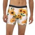 thumbnail image 2 of Cauagu Sunflower 5 Print Men's Boxer Briefs, Funny & Cute Underwear Elastic Waistband Briefs Ideal Gift for Men,1-Pack, 2 of 7