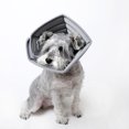 thumbnail image 3 of Collar Isabelino Para Perros, Evita Lamer El Collar De Recuperación Del Perro EVA Protección Multiusos Para El Cuello Resistente A Las Mordeduras Para La Recuperación, 3 of 7