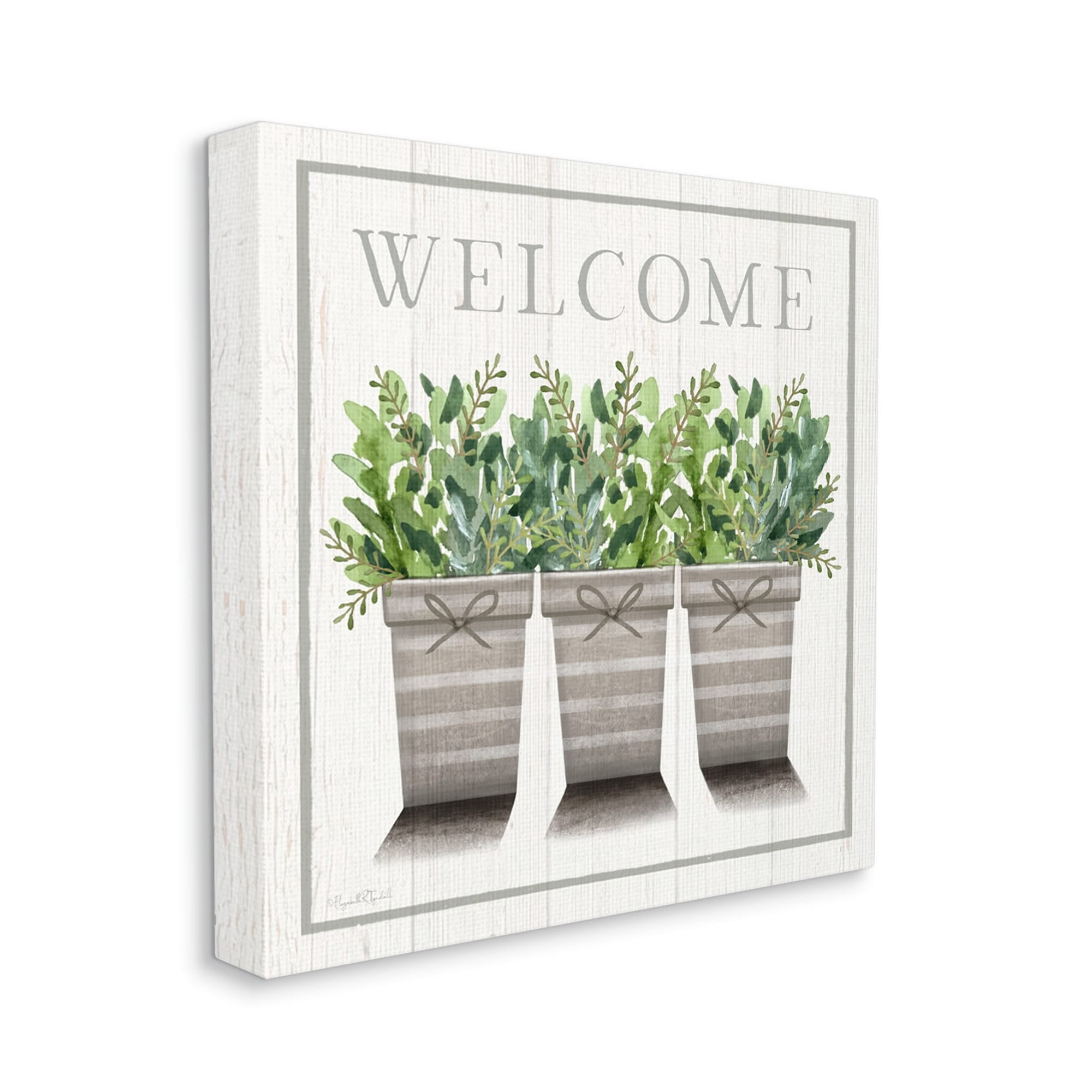 Stupell Industries Welcome Sign Cottage Theme Potted Plants Botanicals Canvas Wall Art, 24 x 24, Design by Elizabeth Tyndall