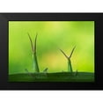 thumbnail image 2 of Kamran, Mehdi 14x11 Black Modern Framed Museum Art Print Titled - Macro, 2 of 5