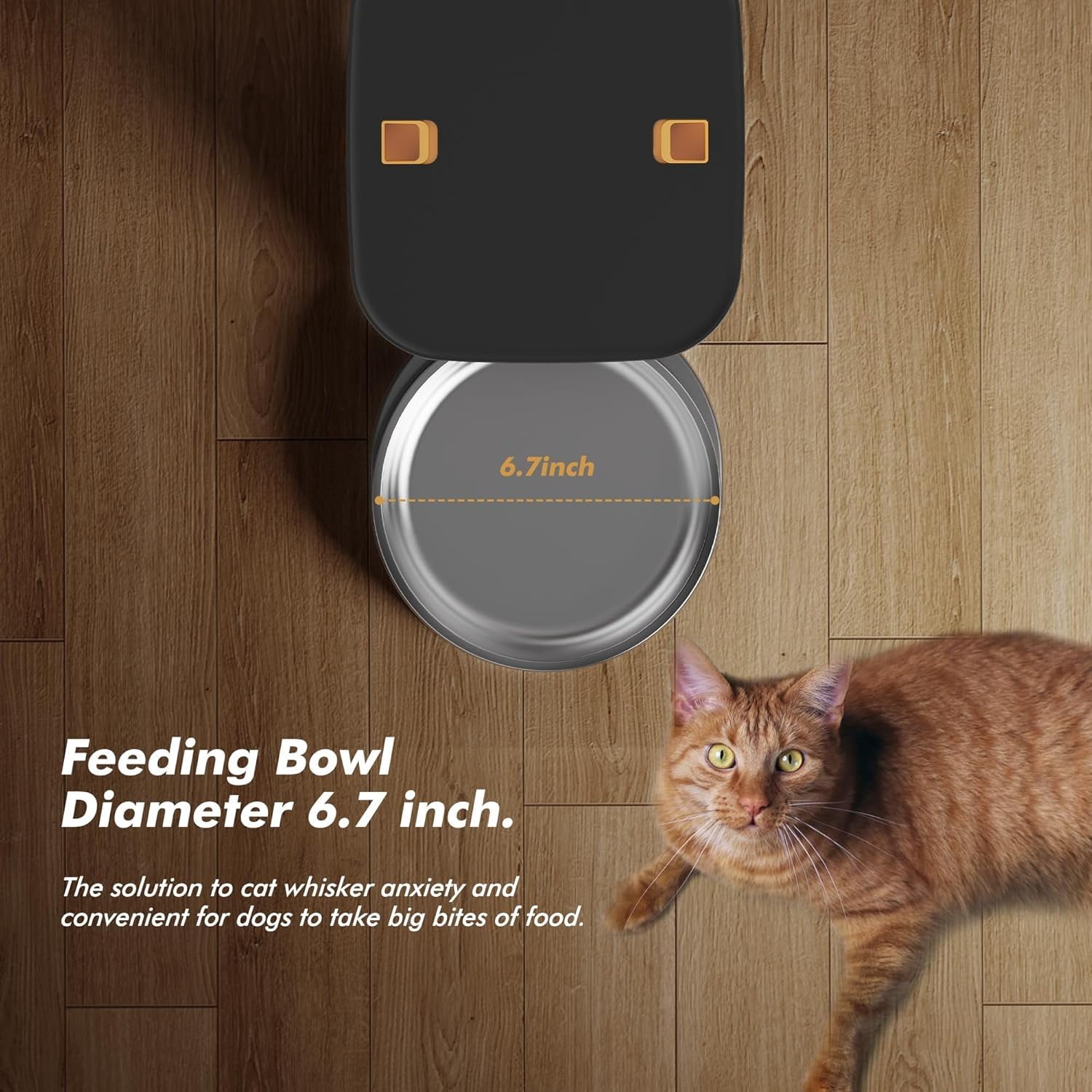 Automatic Cat Dog Feeder 8L Large Capacity with LCD Screen, Timed Dispenser for Dry Food, Stainless Steel Bowl, Voice Recording, Dual Power Supply