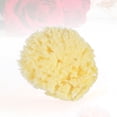 thumbnail image 2 of OFFIGAM Esponja Natural Beige Para Con Textura Panal Para Limpieza Y Exfoliación, 2 of 6