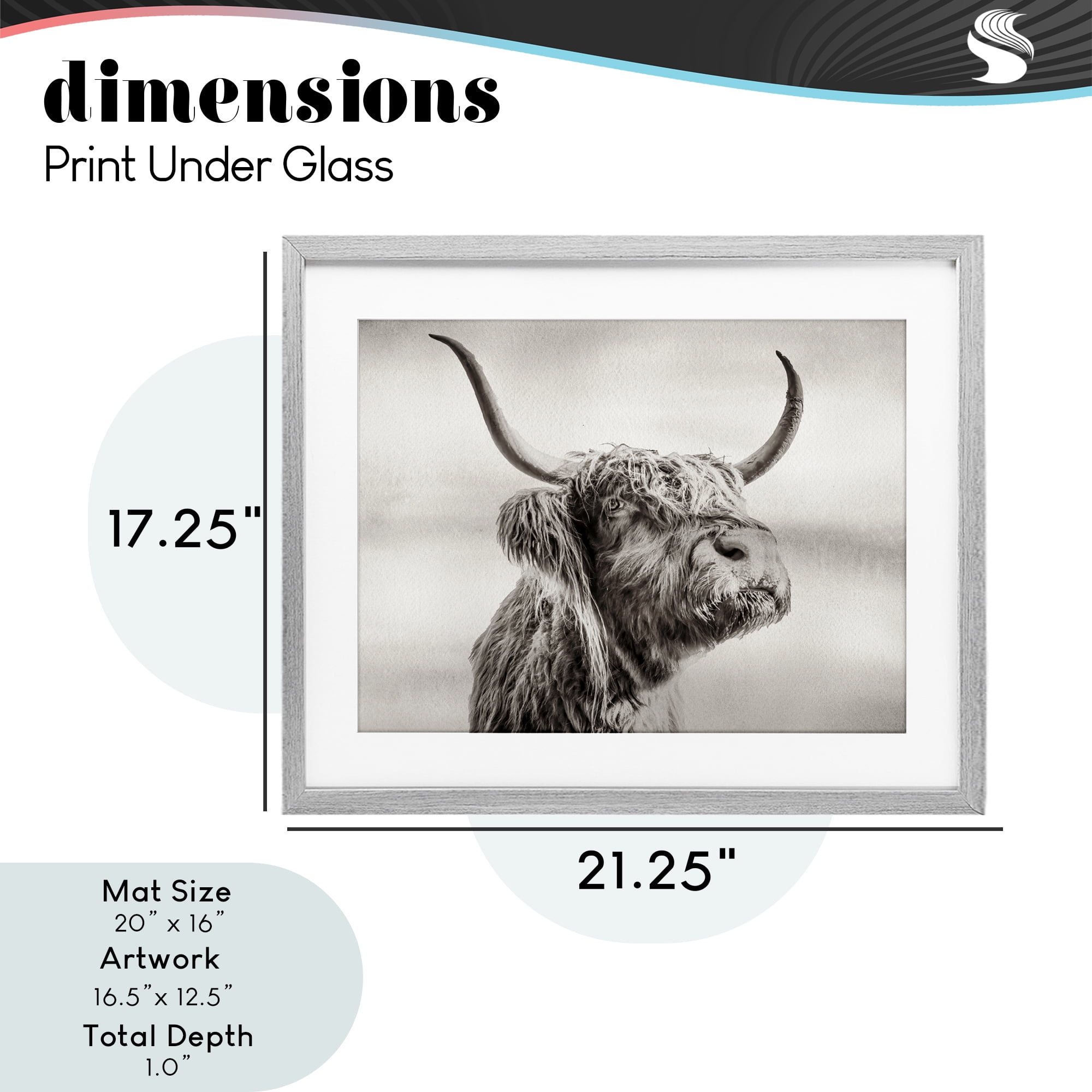 Stupell Industries Horned Highland Cow Gazing Gray Framed Print Under Glass, design by Julia Frost