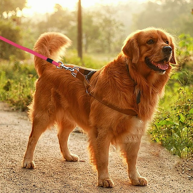 Dog Tie Out 8m Long Dog Leash With Swivel Clips Chains For Outside Yard Camping 1pc