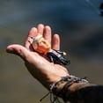 thumbnail image 2 of Trump Topwater Fishing Lure, 2 of 6