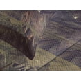 thumbnail image 4 of Ambesonne Mountain Quilted Bedspread Set 3 Pcs, Alaska Scenery, Queen Size, Green Black White, 4 of 5