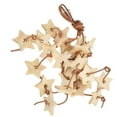 thumbnail image 3 of Wooden Bite Toy, Reducing Boredom Physical Activity Natural Attractive Bird Wood Star Toy  For Bird Exercise Wood Color,Colorful, 3 of 8