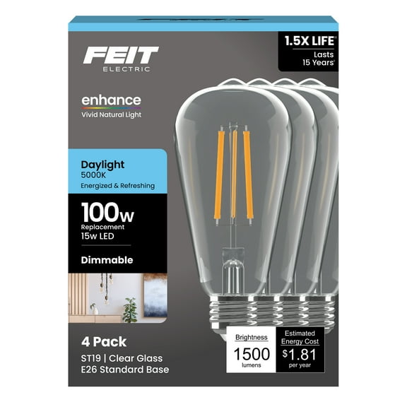 Feit Electric ST19 LED 15W (100W Equivalent) Daylight (5000K), Medium E26 Base, Clear Glass Filament, Dimmable Light Bulb 4 Pack