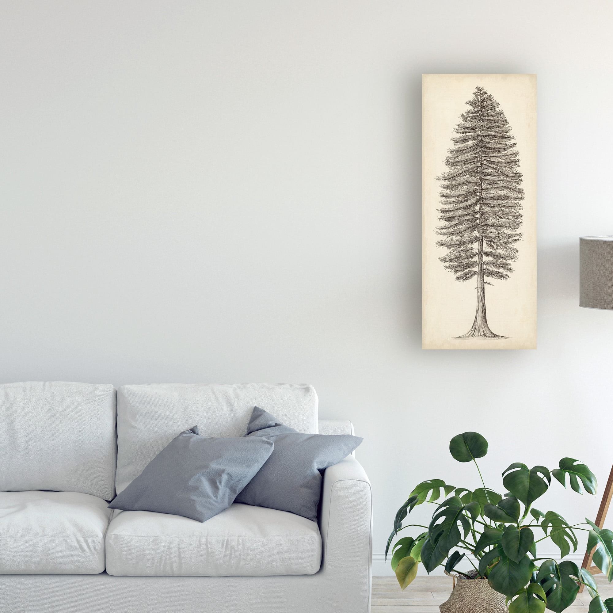 Trademark Fine Art 'Pacific Northwest Tree Sketch II' Canvas Art by Melissa Wang