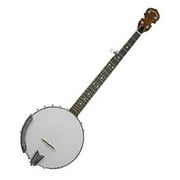 Gold Tone 5-String Open Back Banjo w/ Hard Case