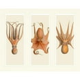 thumbnail image 3 of Fab Funky 24x20 Black Modern Framed Museum Art Print Titled - Trio of Octopus on 3 Panels, 3 of 5