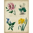 thumbnail image 3 of Maund, Benjamin 12x14 Black Modern Framed Museum Art Print Titled - Botanical Grid II, 3 of 5