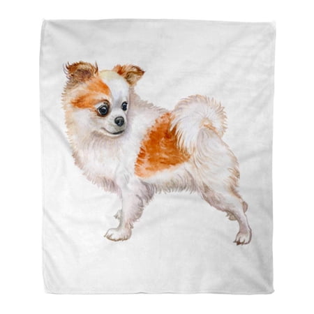 SIDONKU Throw Blanket Warm Cozy Print Flannel Watercolor Closeup Portrait of Chihuahua Dog Funny Sweet Home Pet Popular Toy Comfortable Soft for Bed Sofa and Couch 50x60 Inches
