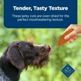 Blue Buffalo Nudges Jerky Cuts Dog Treats Made with Real Chicken & Duck