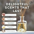 thumbnail image 3 of Ola Tropical Apothecary Diffuseur de Roseaux Parfumé Forêt Tropicale - 2 Fl Oz, 3 of 5
