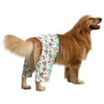 thumbnail image 2 of HDE Dog Swim Trunks Hawaiian Board Shorts for XS to XXL Dogs Rainbows L, 2 of 5