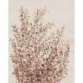 thumbnail image 3 of OToole, Tim 12x14 Black Modern Framed Museum Art Print Titled - Rustic Wildflowers I, 3 of 5