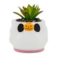 thumbnail image 2 of Disney The Nightmare Before Christmas Zero Planter With Artificial Succulent, 2 of 8