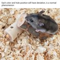 thumbnail image 3 of 3PcsWood Chew Sticks for Small Animals, Promotes  Teeth and Gums, Pet Snacks for Boredom Relief, Suitable for Rabbits, Guinea Pigs, Hamsters, 3 of 7