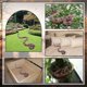 thumbnail image 3 of Juguete con forma de serpiente falsa Morofme, realista, de goma TPR, 3 of 6