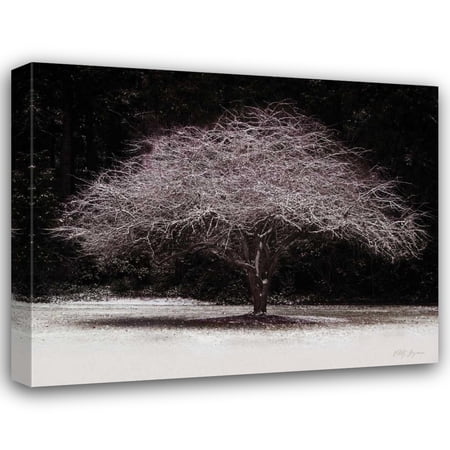 Vitaly Geyman 24x20 Gallery Wrapped Canvas Wall Art Titled - Japanese Maple
