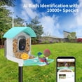 thumbnail image 3 of Smart Bird Feeder with Camera, AI Identify Bird Breed, Solar-Powered WiFi FHD 2K Live Camera, Auto Capture Backyard Garden Bird Watching, IP65,Motion Detection, Cloud and SD Card Storage, 3 of 7