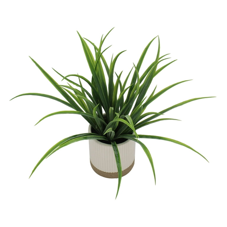 Mainstays by Becky G. & Alejandra 9.5