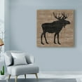 thumbnail image 3 of Trademark Fine Art 'Lake Lodge I Brown no Words' Canvas Art by Sue Schlabach, 3 of 3