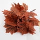 thumbnail image 5 of Ramo Artificial de Hojas de Arce de B Decoración de Ramas de Hojas de Arce Falsas Flores de Seda Decorativas Bolsas de Almacenamiento de Ropa de Secado de Ramas Secas, 5 of 6