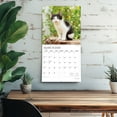 thumbnail image 5 of Kitten Cuddles | 2026 12x24" (Hanging) Monthly Square Wall Calendar | Plato, 5 of 9