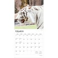 thumbnail image 3 of White Tigers | 2026 12x24" (Hanging) Wall Calendar | Plastic-Free | BrownTrout, 3 of 9
