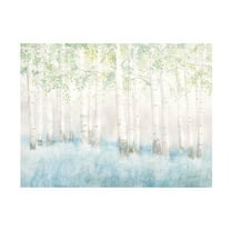 James Wiens 'Soft Birches' Canvas Art