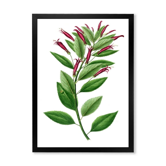 Designart 'Ancient American Flora V' Traditional Framed Art Print