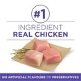 thumbnail image 4 of Purina ONE SmartBlend Healthy Aging 7+ Formula Chicken, Dry Dog Food 6kg, 4 of 9