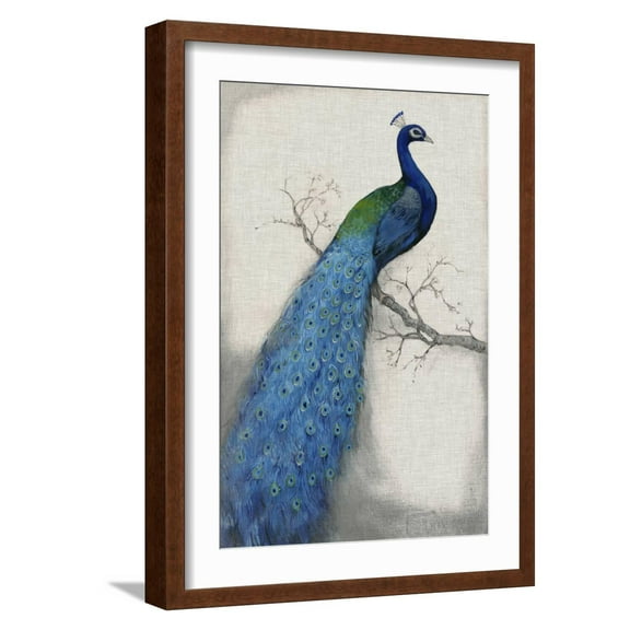 Art.com Peacock Blue I Art Print by Tim O'toole, Brown Frame Wall Art, 17" x 23"