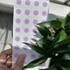 thumbnail image 2 of Uv Sun Protection Reminder Label Sticker, 2 of 4