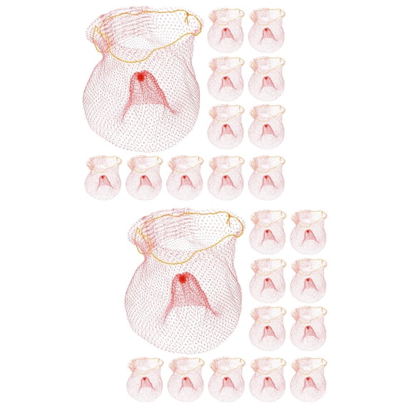 HOMEMAXS 100 Pcs Outdoor Watermelon Nets Storage Pouch Fruit Vegetable Bags Greenhouse Bags