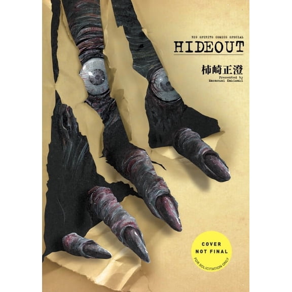 Hideout, (Paperback)