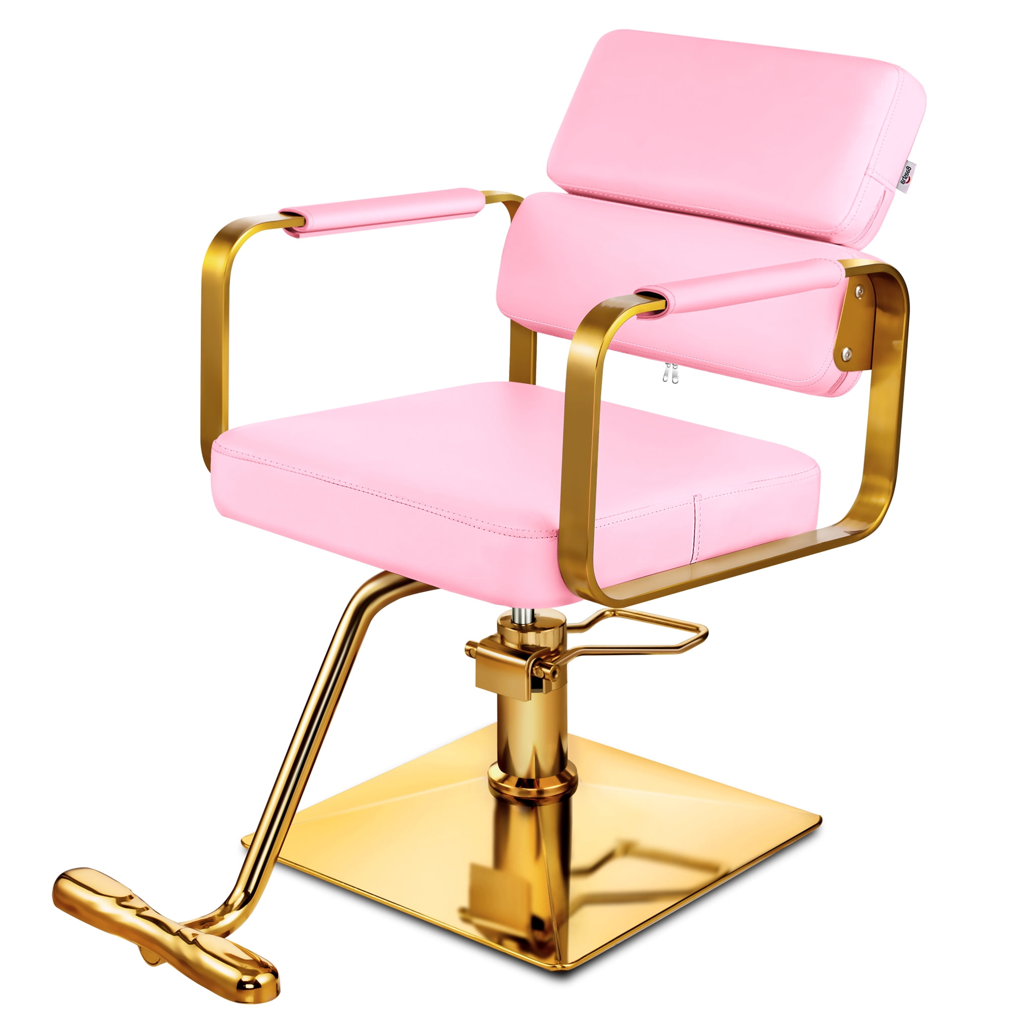 Baasha Pink Salon Chair, Gold Salon Chair for Hair Stylist, HeavyDuty