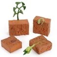 thumbnail image 5 of Simulación del ciclo de vida de una planta de frijol verde, modelo de ciclo de crecimiento, colección de figuras de acción, juguetes educativos de ciencia para niños, 5 of 5