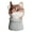 Fox, variant on 9 Inch Modern Art Flower Vase Plants Flower Container, Unique Anthropomorphic Cartoon Animal Plant Pot for Home Office Decoration