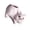 Pink, variant on 7829 Ceramic Fleshy Plant Pot Squirrel Shape Cartoon Ceramic Fleshy Plant Cactuses Flower Planter Home Desk Gardening Accesso