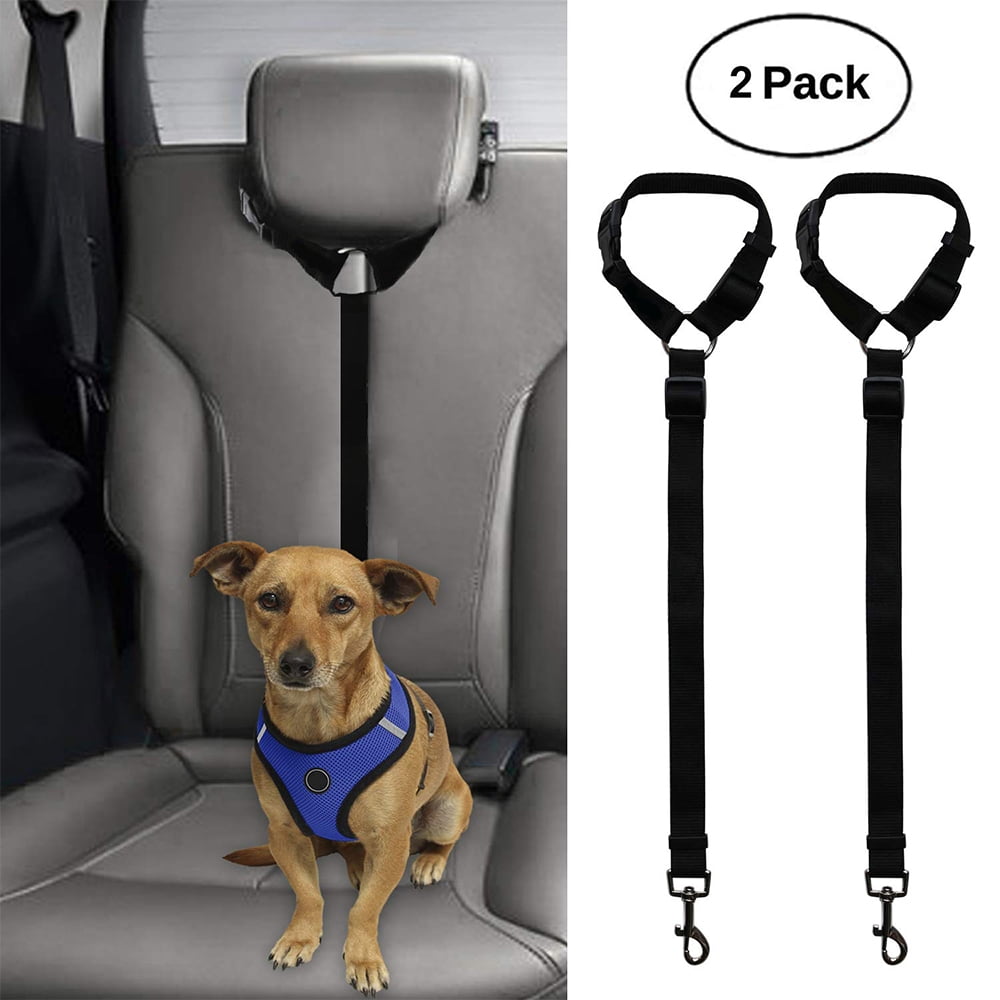 dog car harness walmart