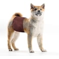 thumbnail image 3 of Washable Male Dog Diapers (3 Pack) Reusable Belly Band For Male Dogs, Strong Water Absorption And No Leakage Male Dog Wraps, Comfortable And Durable A, 3 of 5